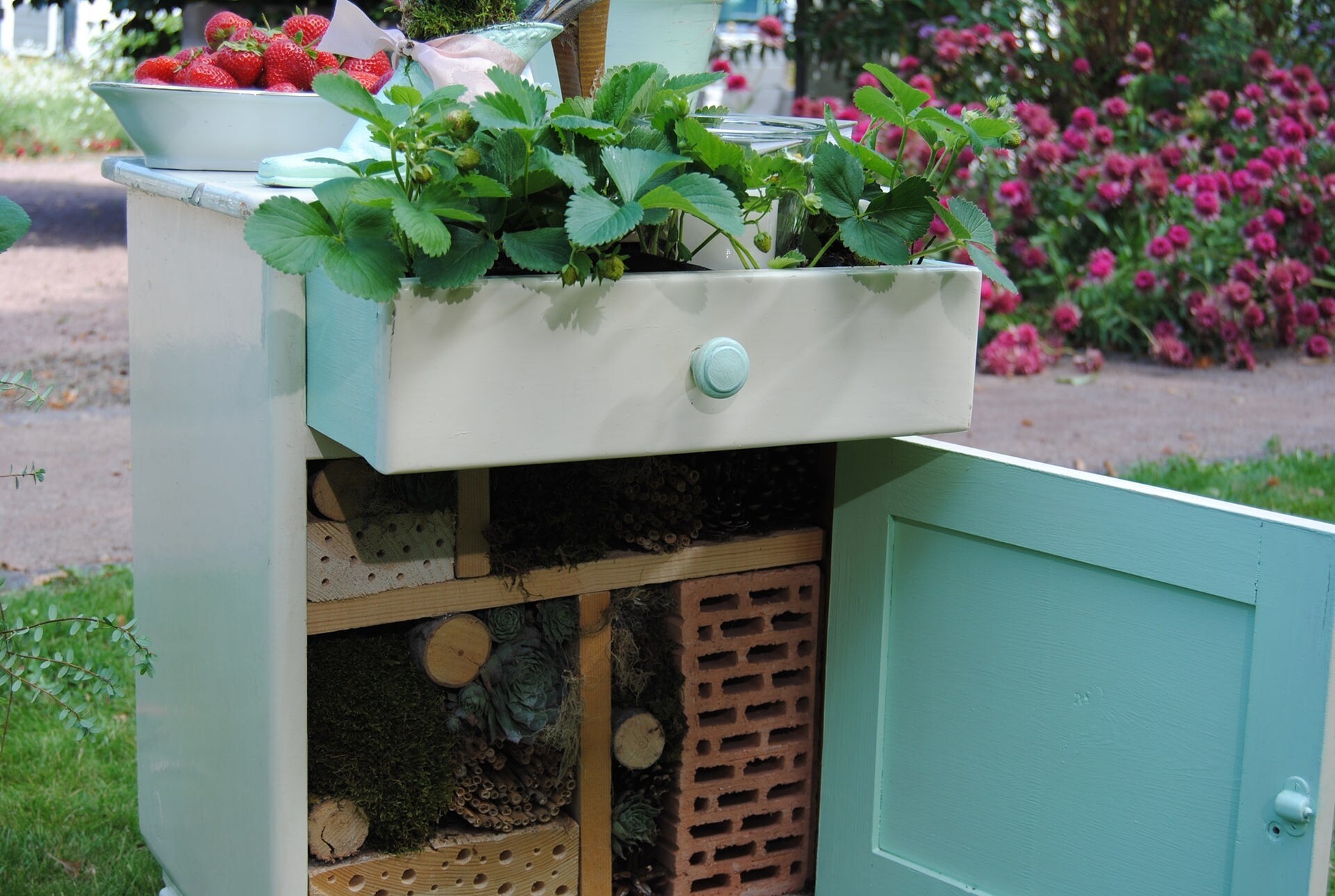 Gestaltungsideen: Beeren im Garten mal anders in Szene setzen | MDR.DE