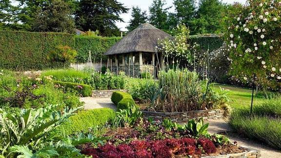 Ein Garten mit Hochbeeten und Gartenhaus.  