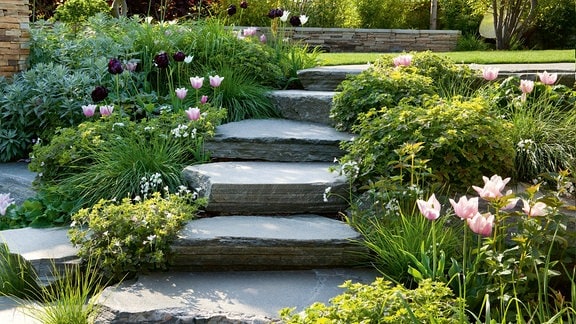 Steinstufen führen auf eine höhergelegte Rasenfläche in einem Garten.  