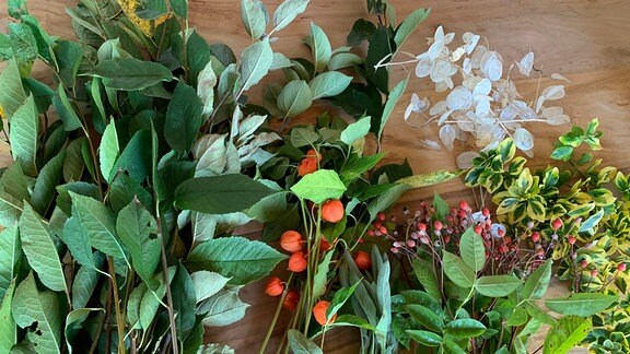  Gesammelte Pflanzenteile liegen auf einem Tisch.