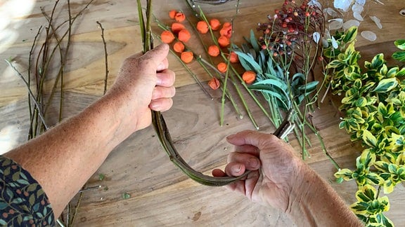 Zwei Hände biegen Äste, auf einem Tisch liegen Pflanzenteile.