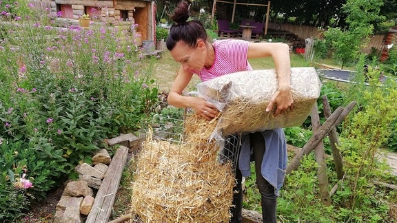 Eine Frau füllt in einen Kartoffelturm eine letzte Schicht Stroh ein. 