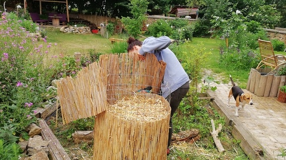 Eine Frau schneidet bei einem Kartoffelturm den überstehenden Rand einer Bambusmatte ab. 