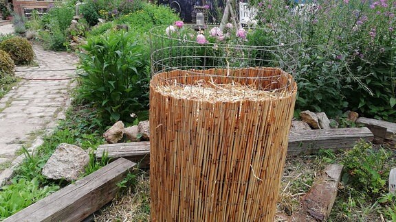 Kartoffeln Pflanzen Pflegen Ernten Und Lagern Mdr De