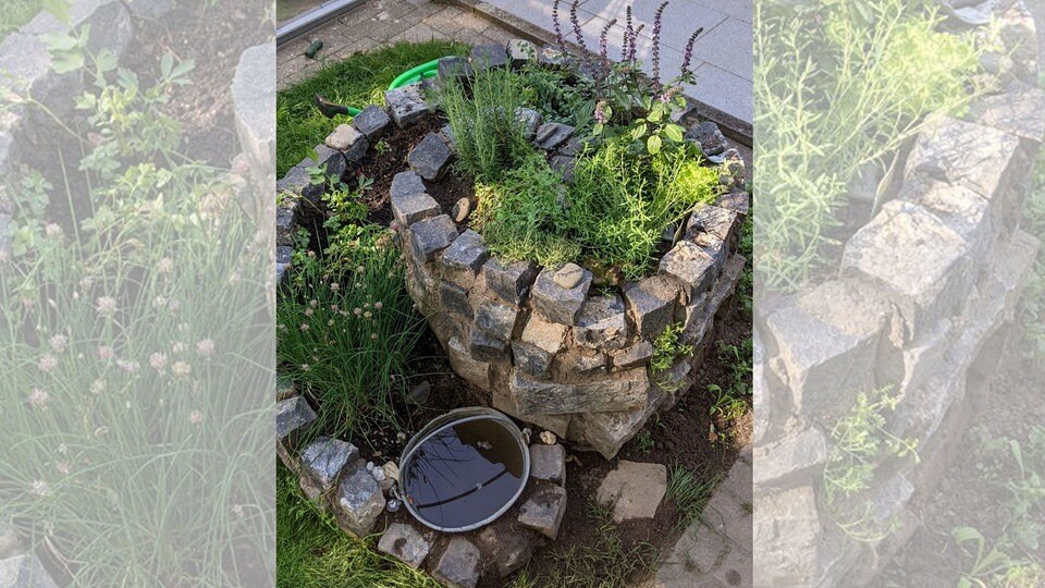 Eine Kräuterspirale bauen und bepflanzen MDR.DE