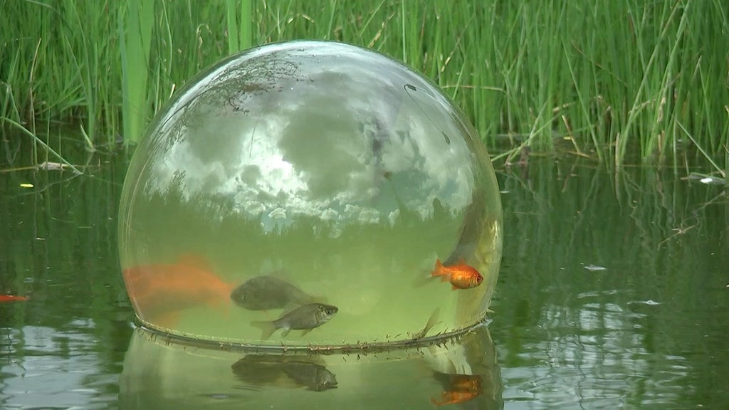 Glaskugel Fuer Garten