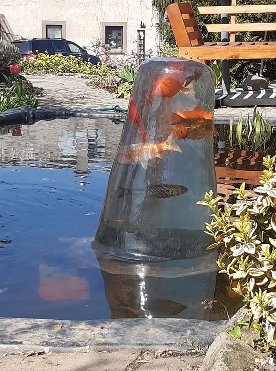 Eine Fischkugel für den Gartenteich bauen MDR.DE