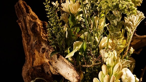 Gartenflorist Aufgabe1 – Birte: Baumwurzel neben weißen Blüten