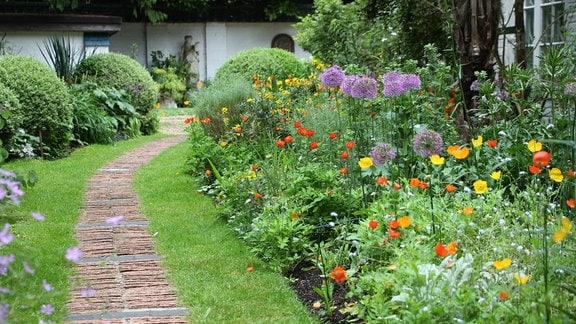 Mehrere verschiedene, blühende Pflanzen, darunter Zierlauch, in einem Staudenbeet an einer Rasenfläche mit einem Weg in einem englischen Garten