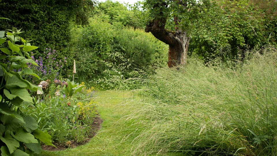 5 Tipps für den Start ins naturnahe Gärtnern MDR.DE