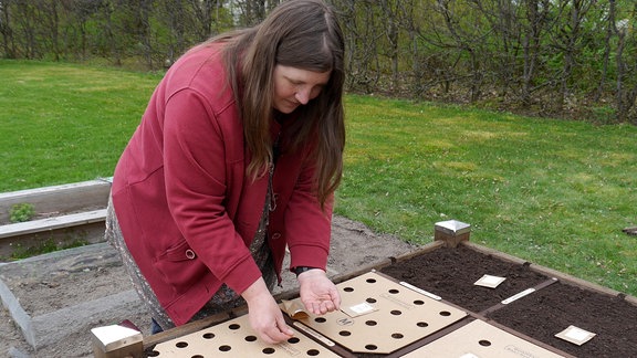 Tanja Tomaske steht an einem von ihr entwickelten, quadratförmigen Hochbeet und legt Samen mit Hilfe von Saatscheiben in die Erde