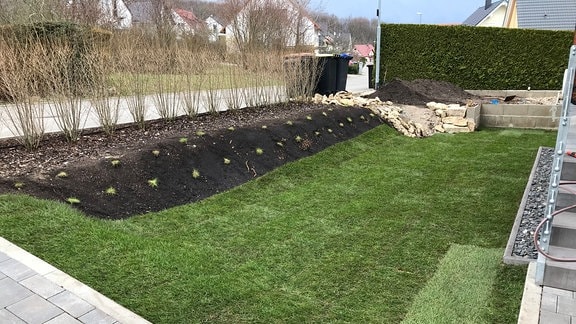 Ein Garten mit einer Rasenfläche, die aus Rollrasen gestaltet wurde  