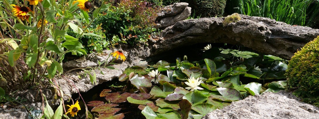 Den Garten Gestalten Mdr De