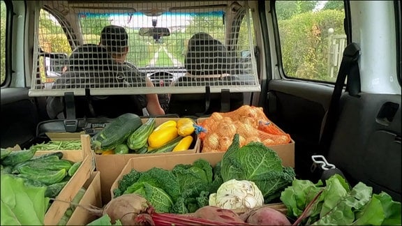 In einem Auto stapeln sich verschiedene Gemüse wie Kohl, Zucchini, rote Bete