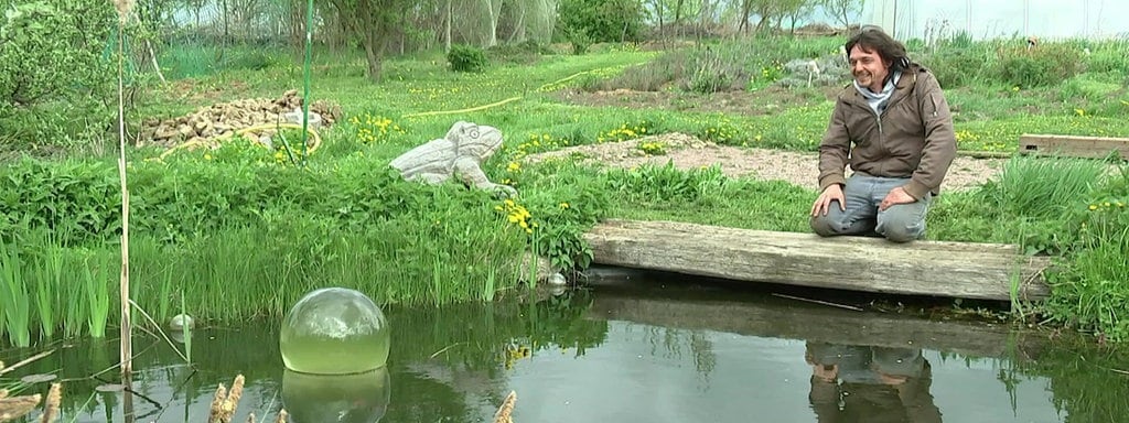 Ein Fischturm Fur Den Gartenteich Mdr De