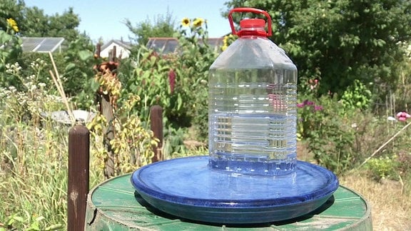 In einer Vogeltränke in einem Garten steht eine große, durchsichtige, mit Wasser gefüllte Plastikflasche