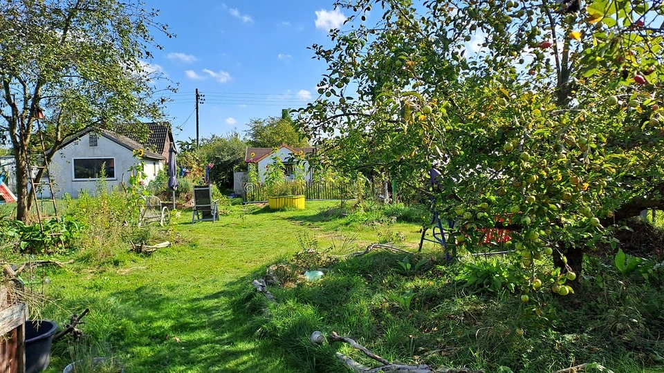 Waldgarten nach dem PermakulturPrinzip anlegen MDR.DE