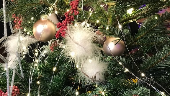 Federschmuck wurde auf Zweige des Weihnachtsbaumes gelegt.