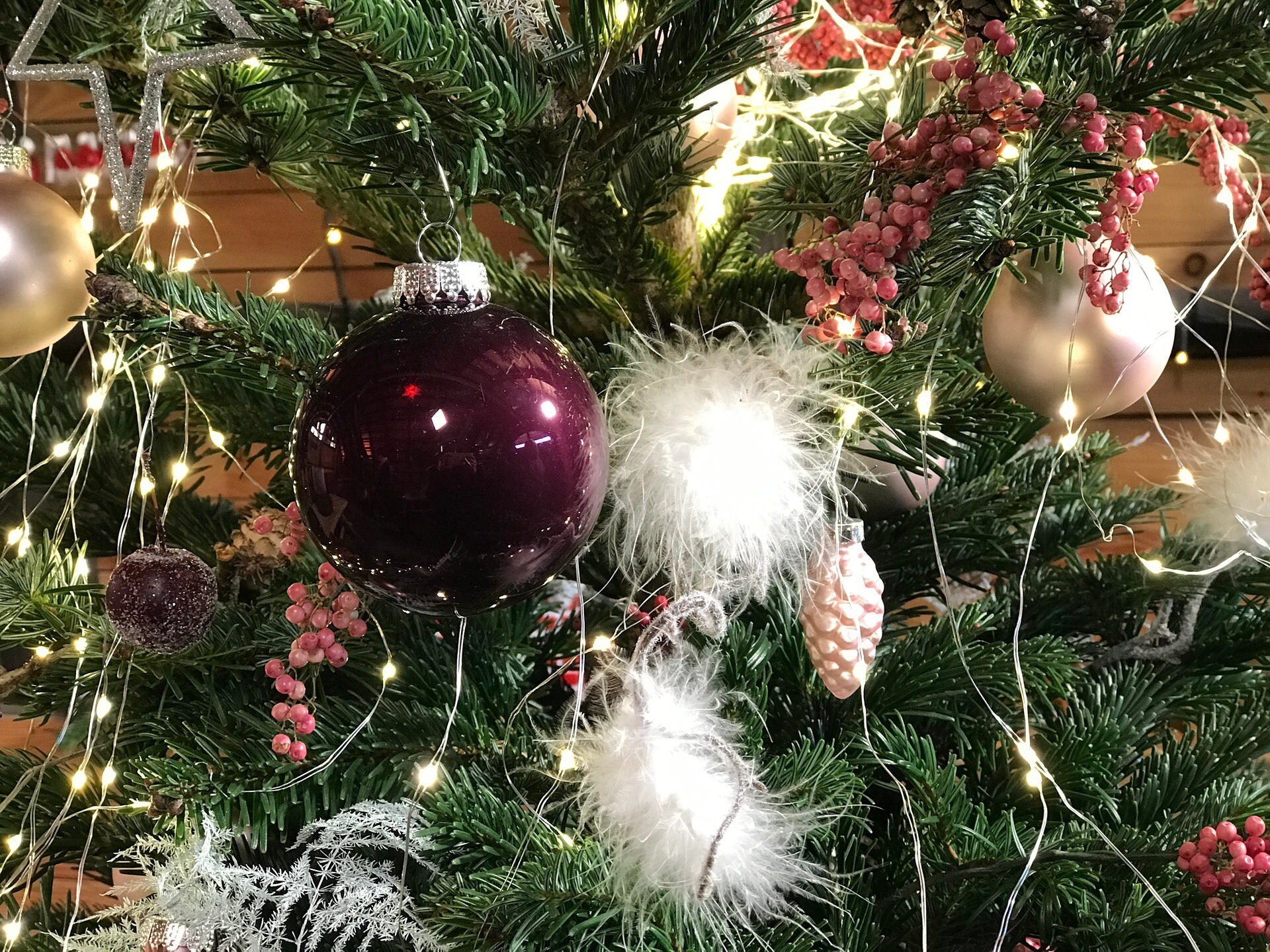 Weihnachtsbäume mal anders schmücken MDR.DE