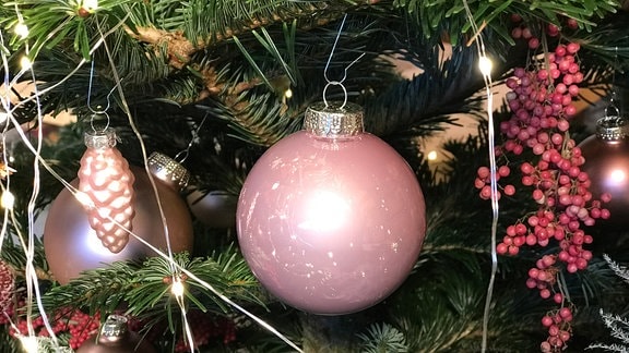 Weihnachtsbaum Kaufen Lagern Und Pflegen Mdr De