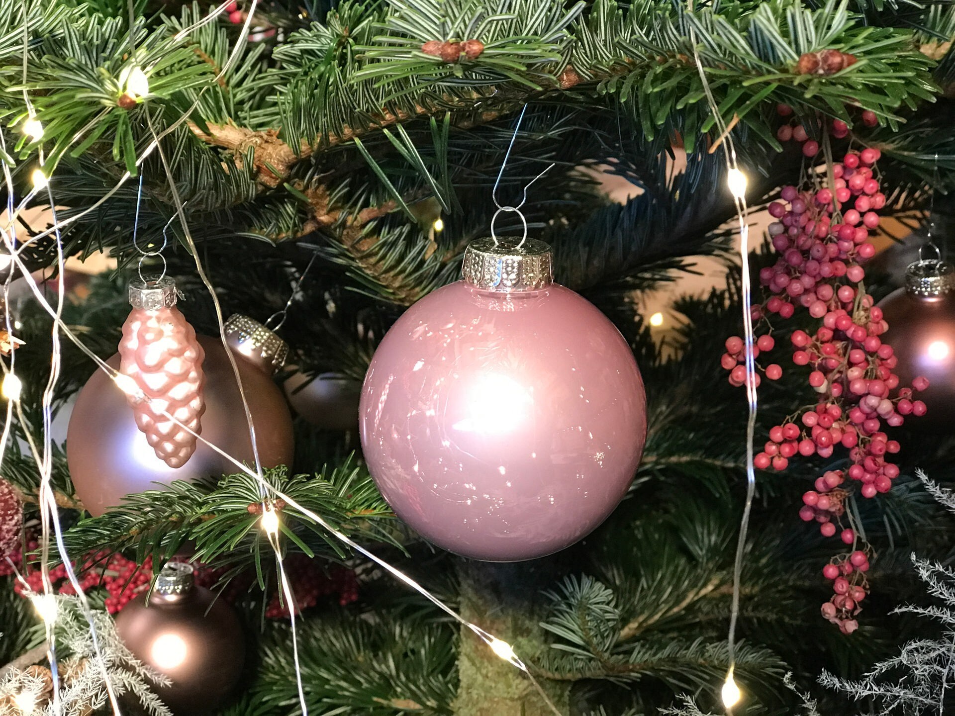 Weihnachtsbäume mal anders schmücken MDR.DE
