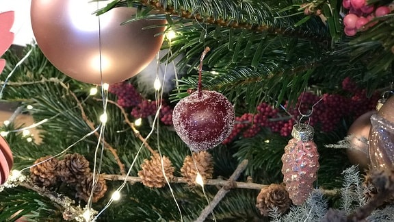 Ein echter kleiner Malusapfel ziert einen Weihnachtsbaumzweig.