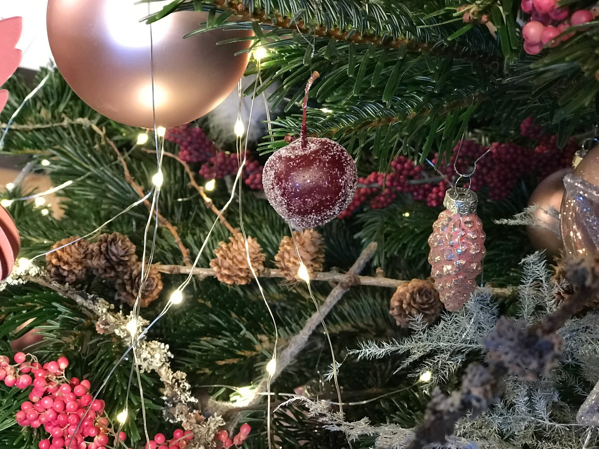 Weihnachtsbäume mal anders schmücken MDR.DE