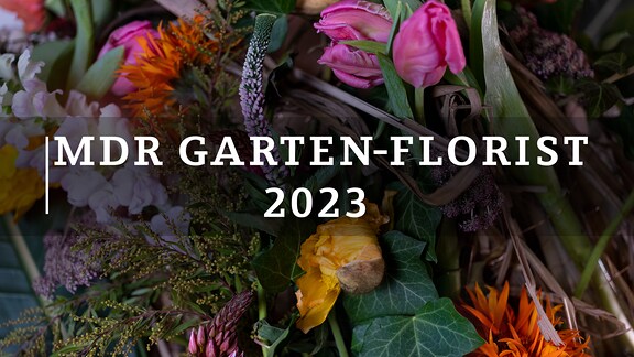 MDR Garten Florist 2023