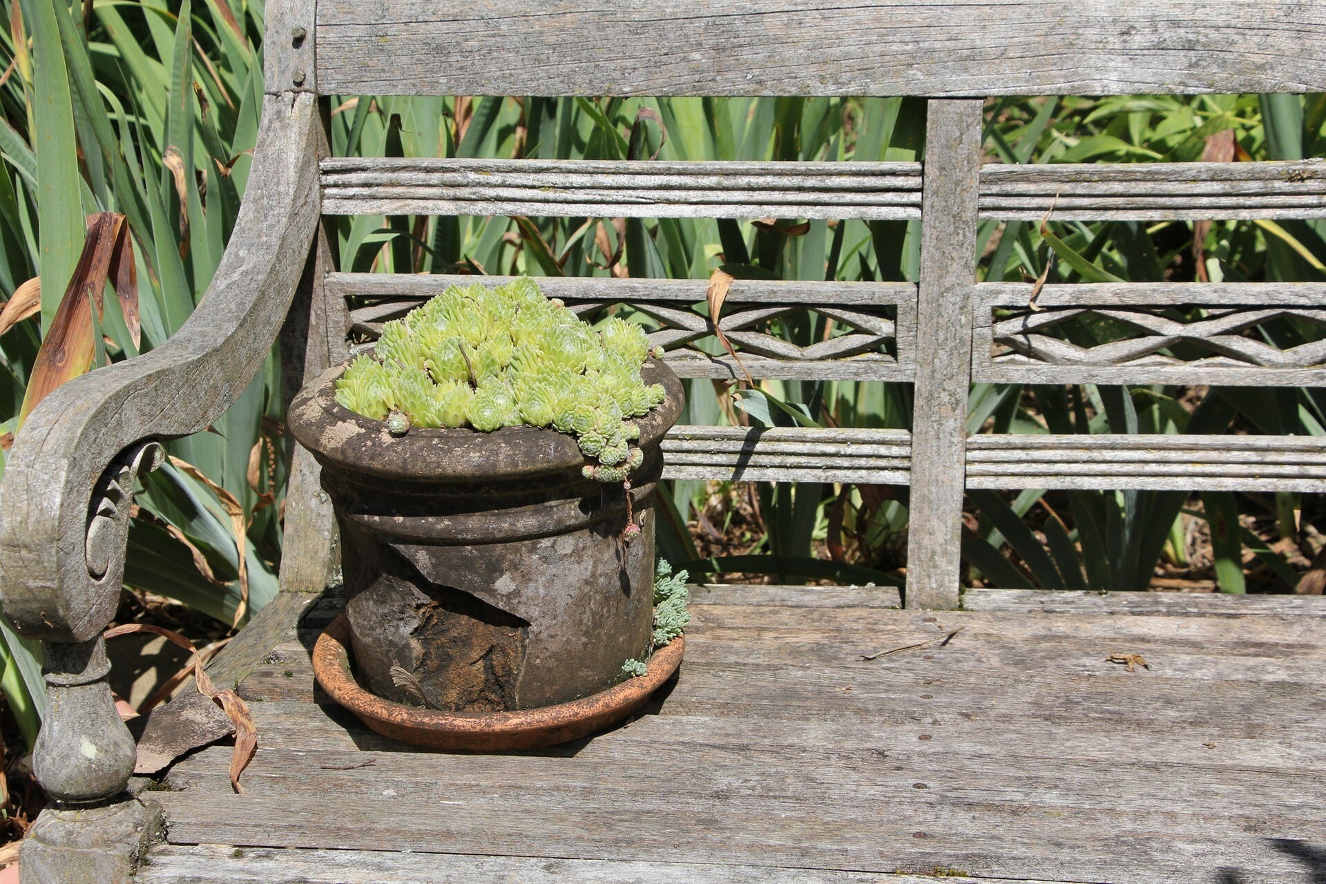 Bodensee Der HermannHesseGarten in Gaienhofen MDR.DE