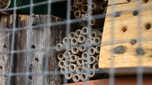 Insektenhotel mit Holz und Pappröhrchen