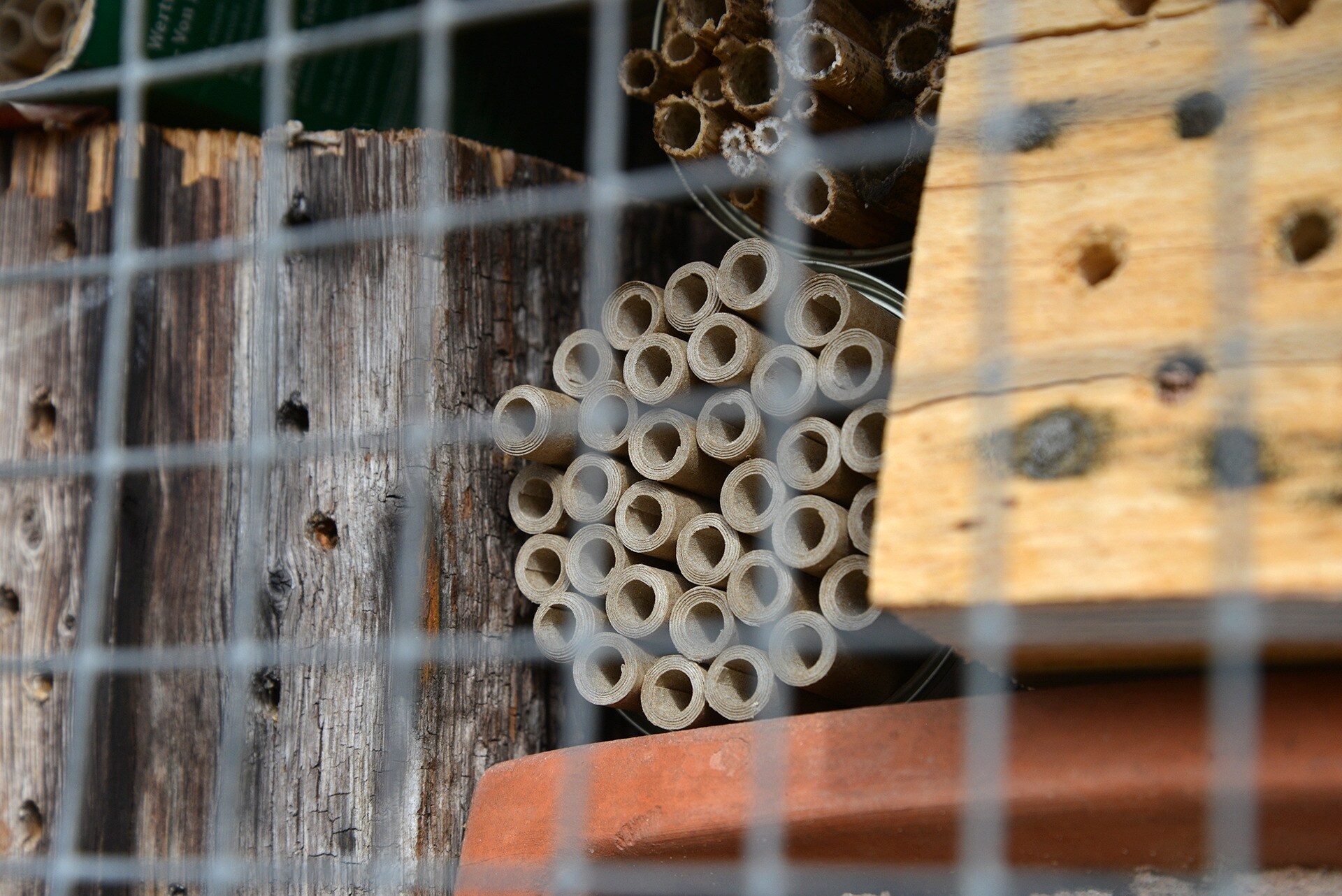 Wildbienen helfen Das Insektenhotel aufräumen MDR.DE