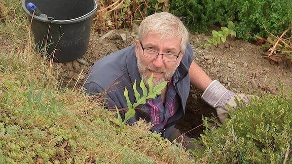 Ein Mann hockt an einem Gartenhang.