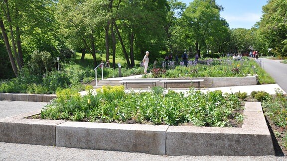 Karl Foerster Staudenzüchter und Gartenvisionär MDR.DE