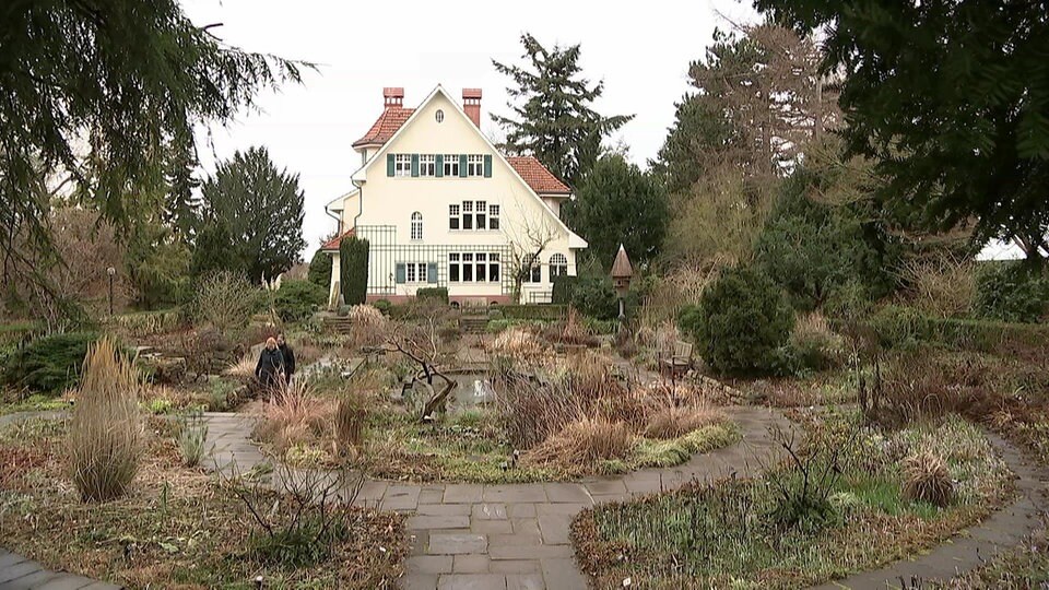 Staudenschnitt im Karl FoersterGarten Potsdam MDR.DE