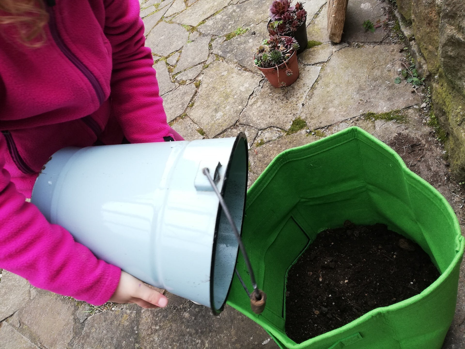 Gärtnern mit Brigitte Kartoffeln im Pflanzsack pflanzen MDR.DE