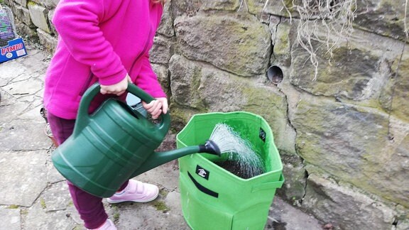 Kartoffeln in Pflanzsack angießen