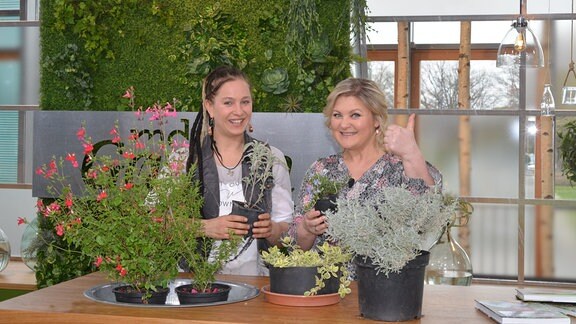 Kräuterexpertin Paulina Uhlig und Moderatorin Diana Fritzsche-Grimmig stehen hinter einem Tisch auf dem verschiedene Kräuter stehen.   