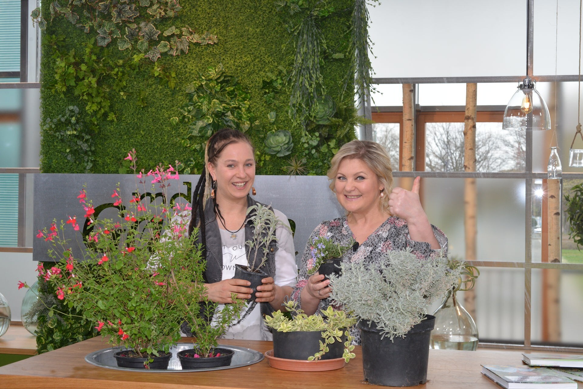 Heilkräuter Naturheilpflanzen für den Garten MDR.DE