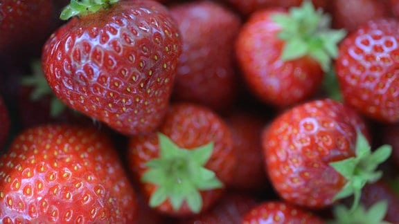 Erdbeeren (nah)