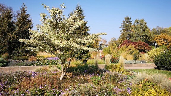 So werden kleine Gärten ganz groß | MDR.DE