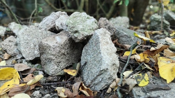 In einem Garten liegt ein Steinhaufen.   