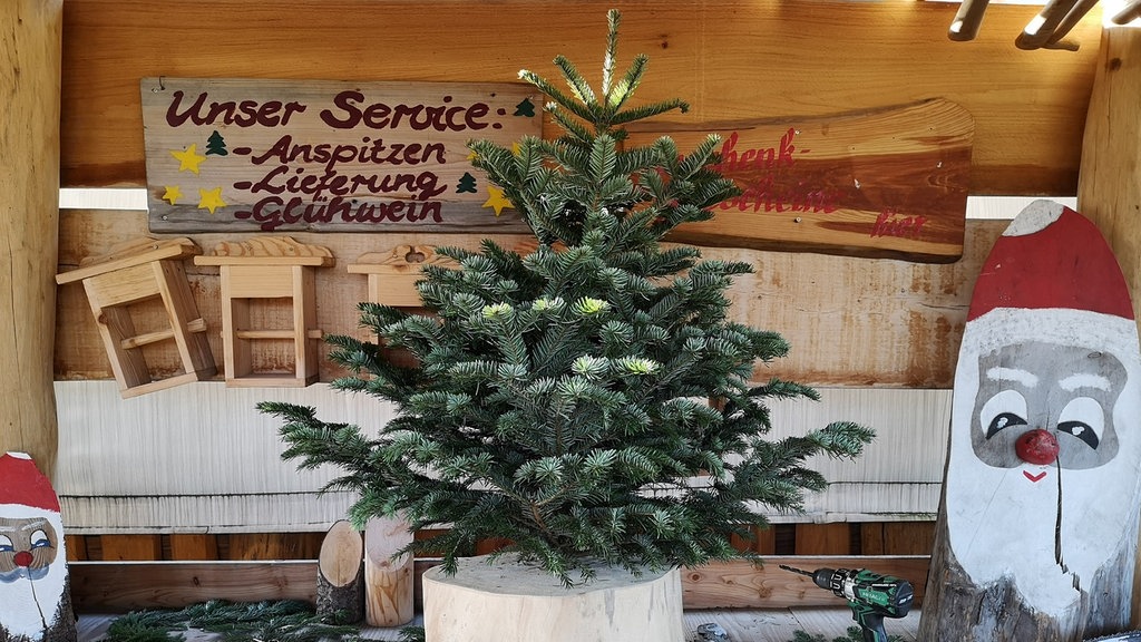 Weihnachtsbaum Kaufen Lagern Und Pflegen Mdr De