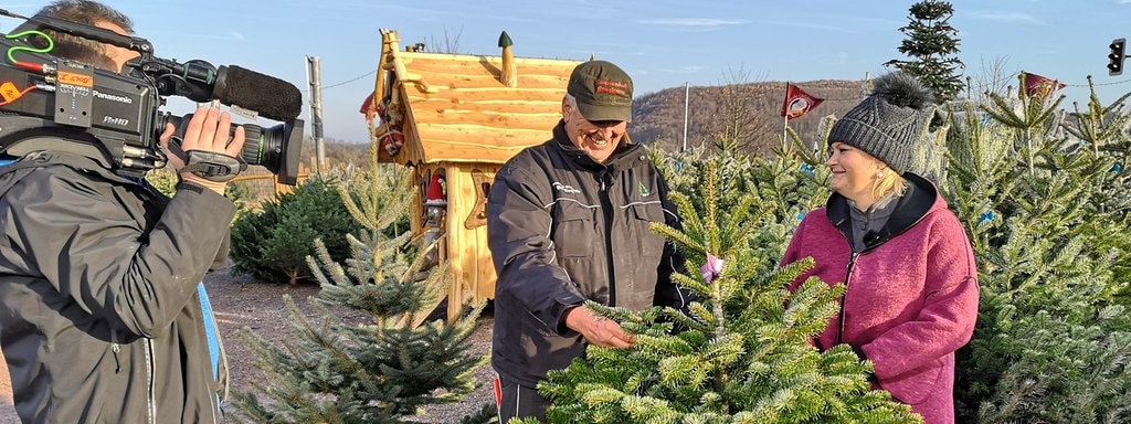 Nordmanntanne Oder Fichte Welcher Weihnachtsbaum Soll S Sein