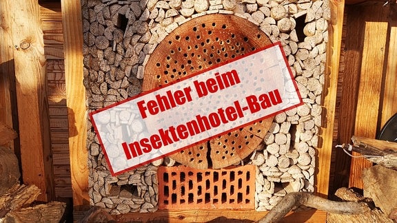 Wildbienen Und Hummeln Mit Nisthilfen In Den Garten Locken Mdr De