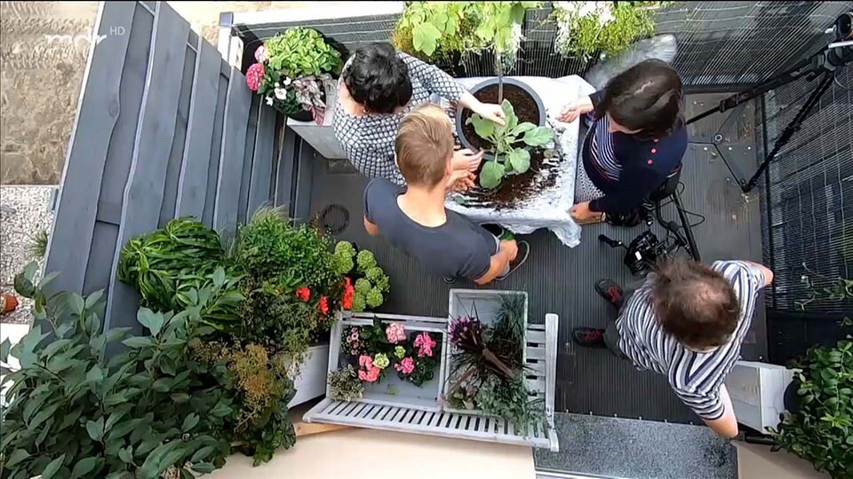 Lust auf Herbst Den Balkon nach dem Sommer umgestalten MDR.DE