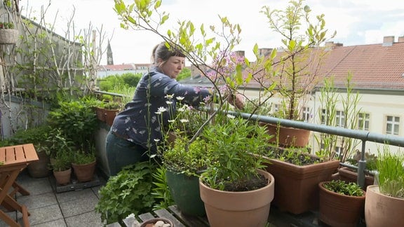 Eine Frau zupft an einer Pflanze auf ihrem Balkon.