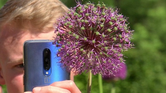Ein Mann fotografiert die Blüte einer Pflanze mit seinem Smartphone.
