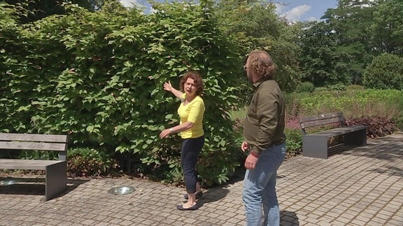 Brigitte und Jens im Mainz-Garten