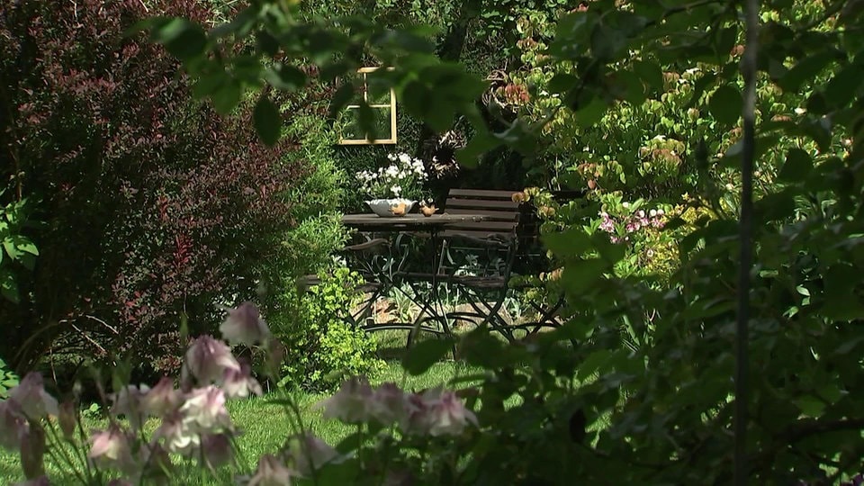 Ein romantischer Traumgarten in Zwickau MDR.DE
