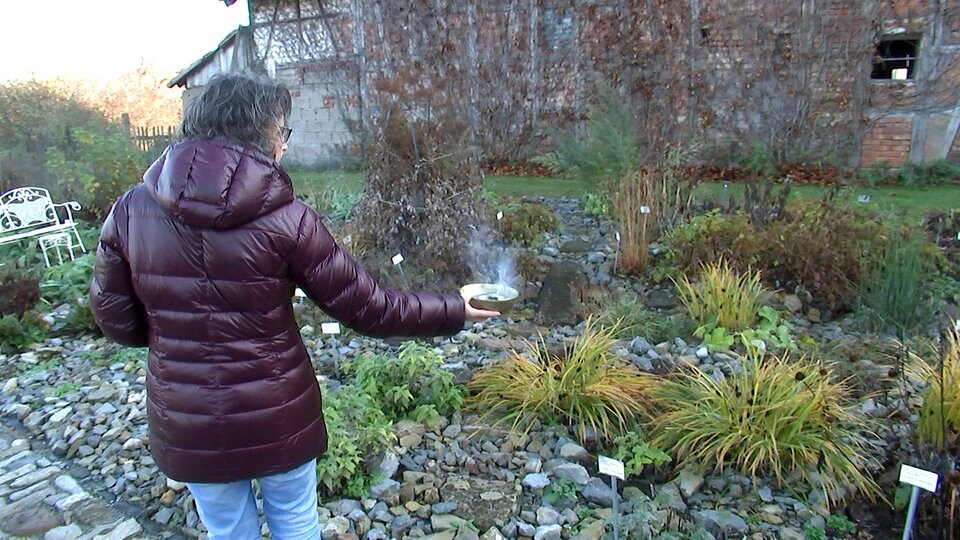 58+ Mdr Mein Garten Räuchern Mit Kräutern, Welche heimischen